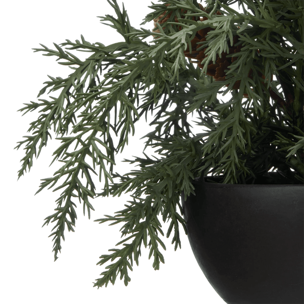 Artificial Juniper in Pot