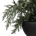 Artificial Juniper in Pot