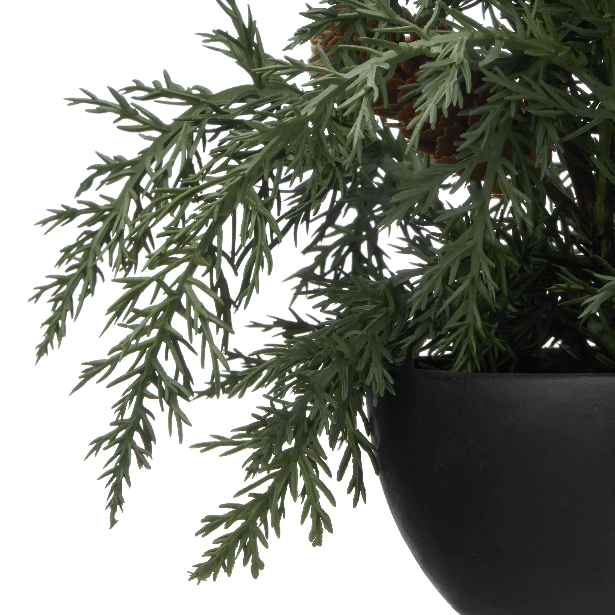 Artificial Juniper in Pot