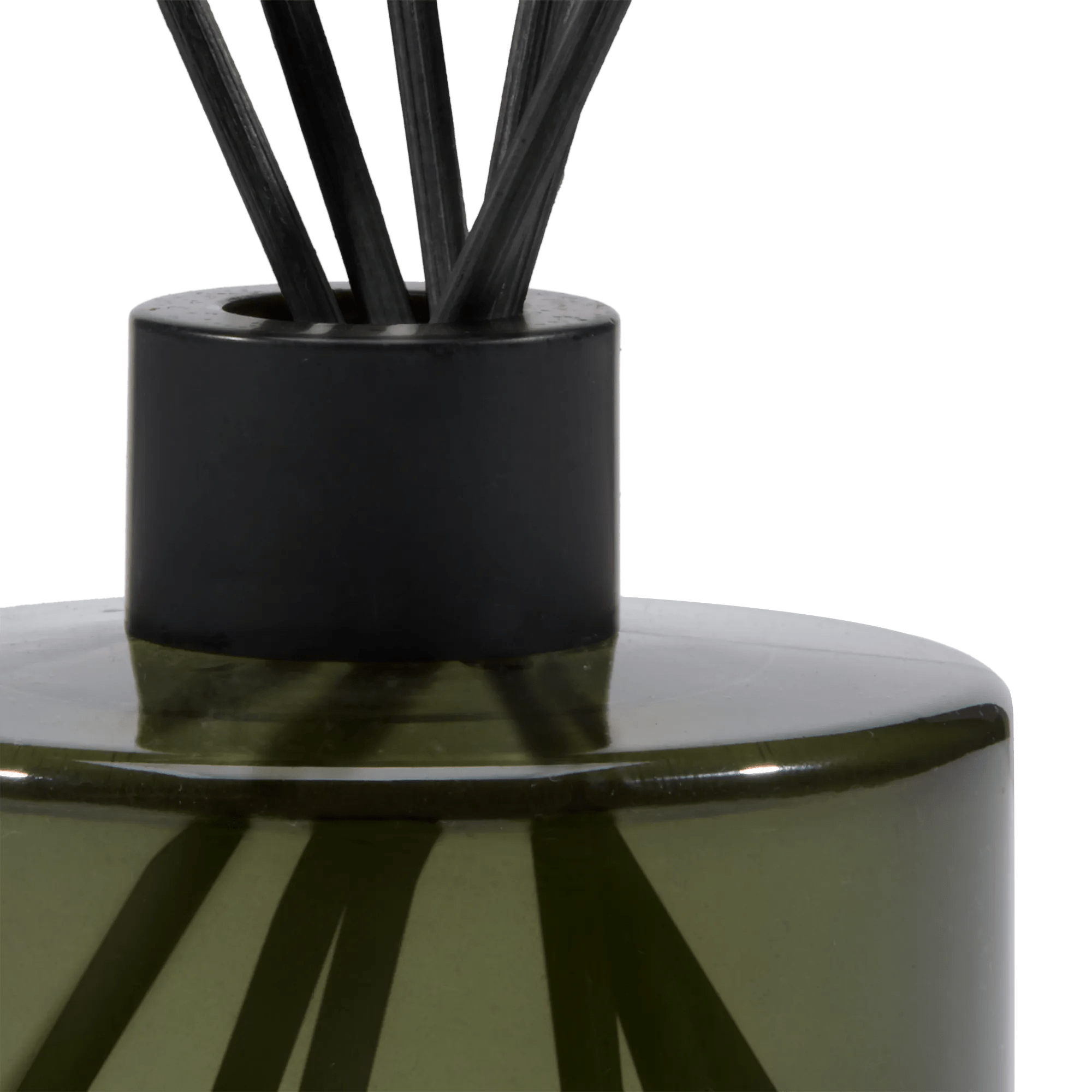 Boreal Forest Diffuser