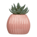 Greenery in Pink Ribbed Vase