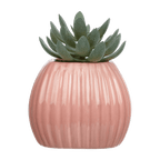 Greenery in Pink Ribbed Vase