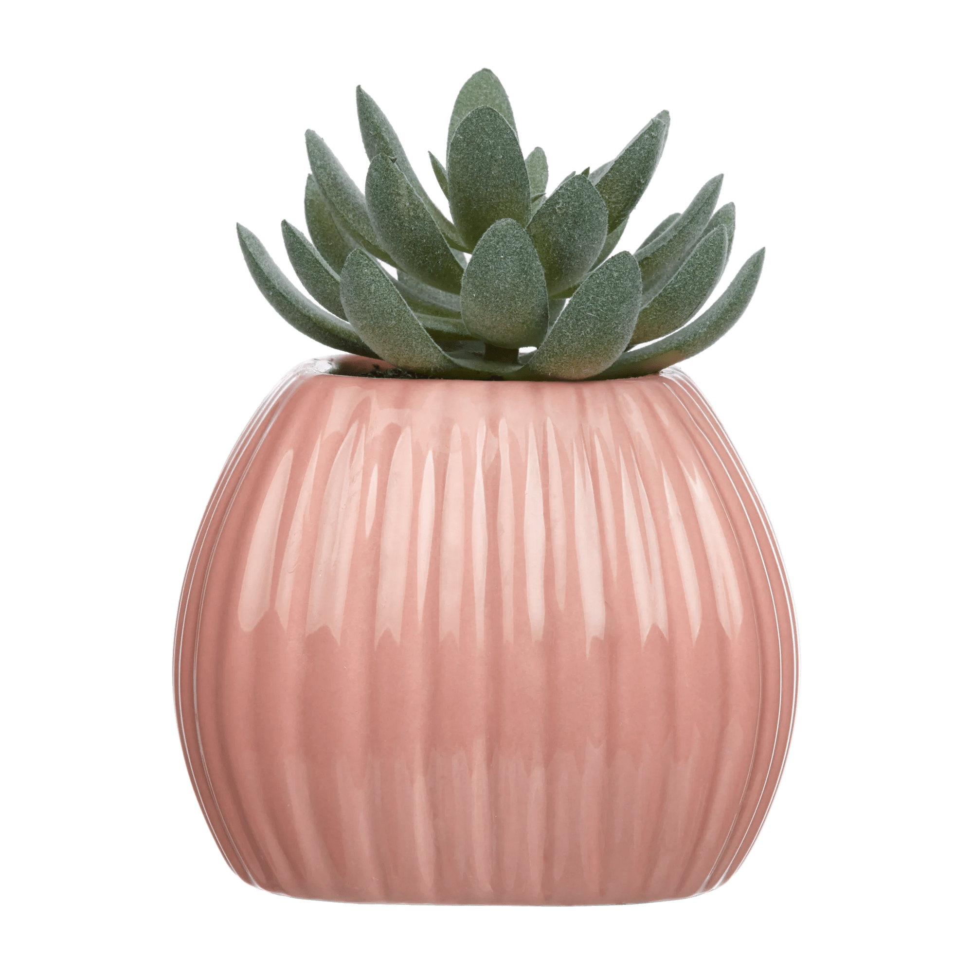 Greenery in Pink Ribbed Vase