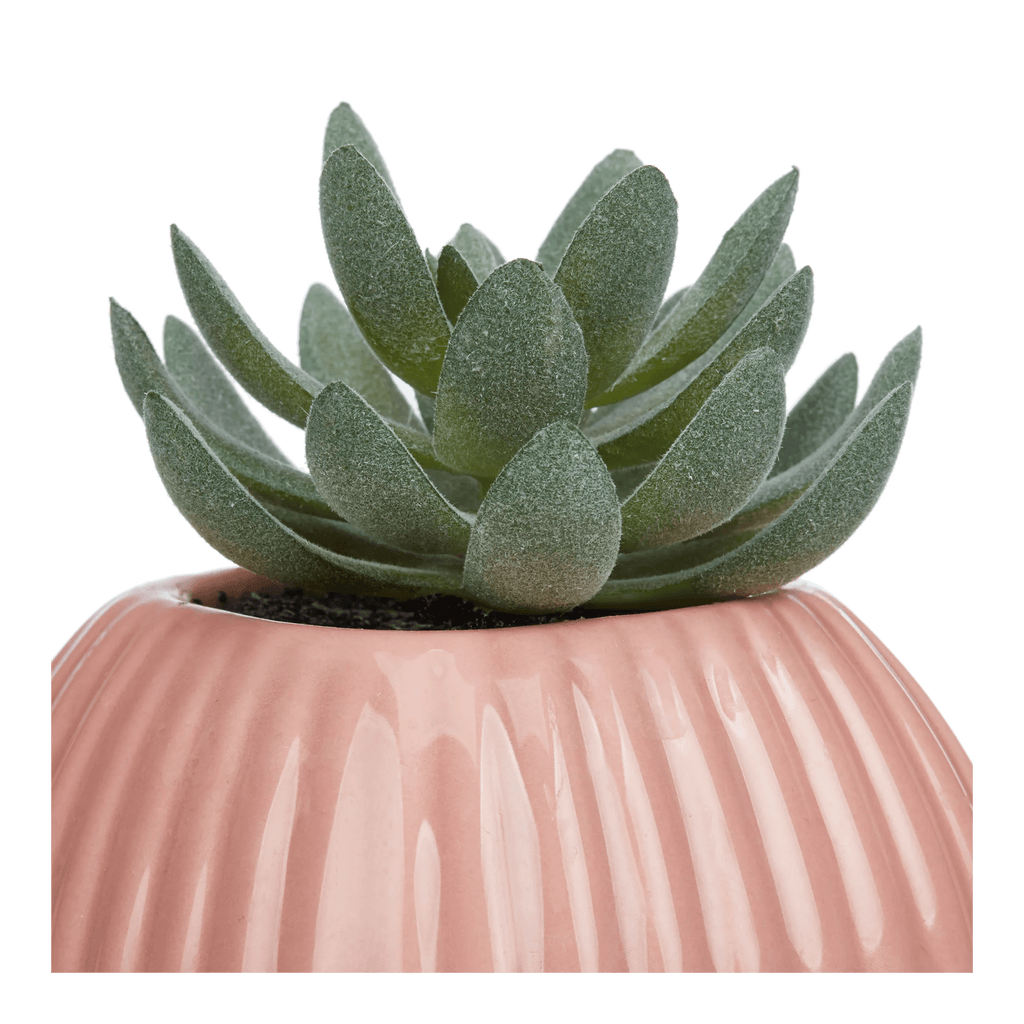 Greenery in Pink Ribbed Vase