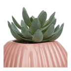 Greenery in Pink Ribbed Vase