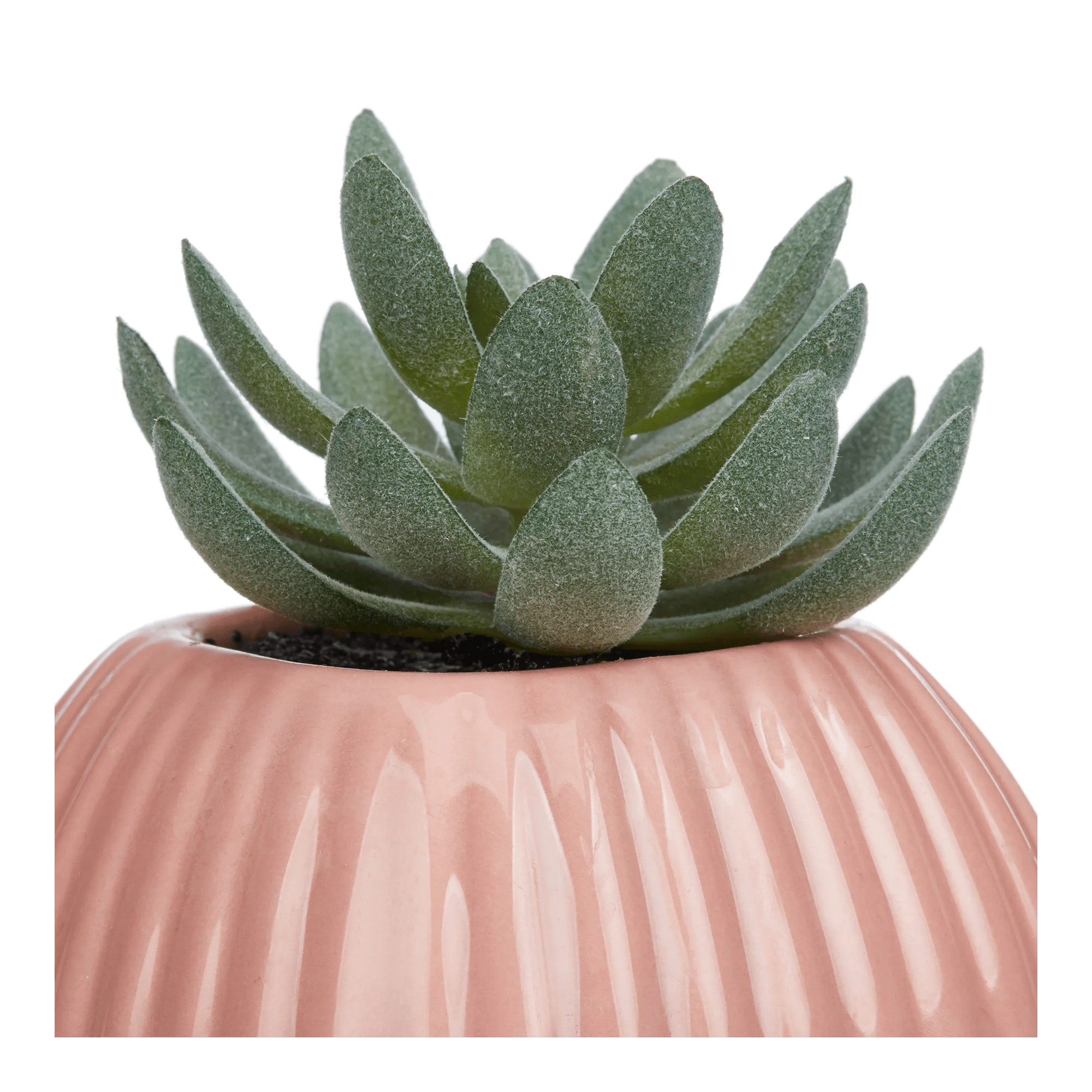 Greenery in Pink Ribbed Vase