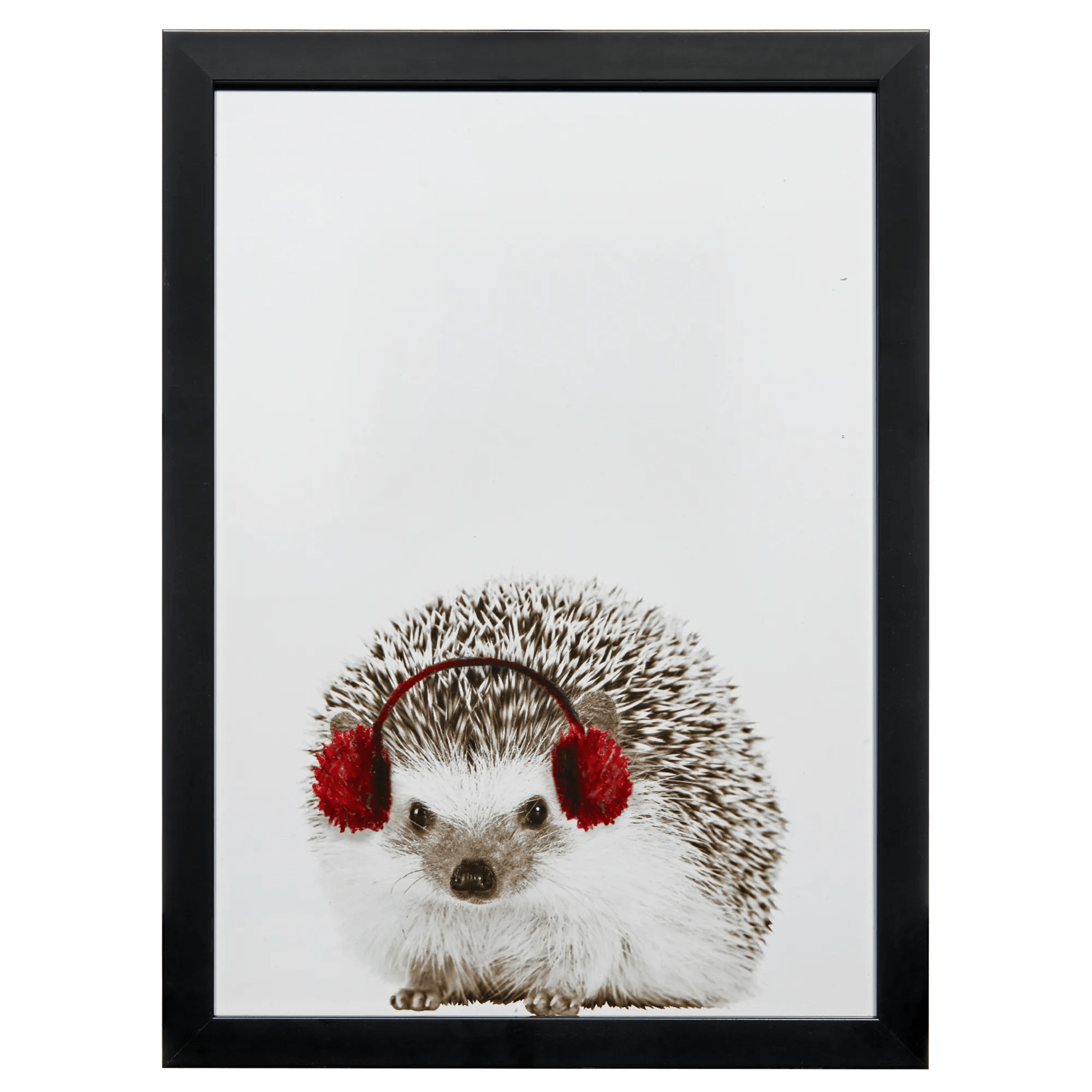 Hedgehog Canvas Framed Art