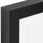 Hedgehog Canvas Framed Art