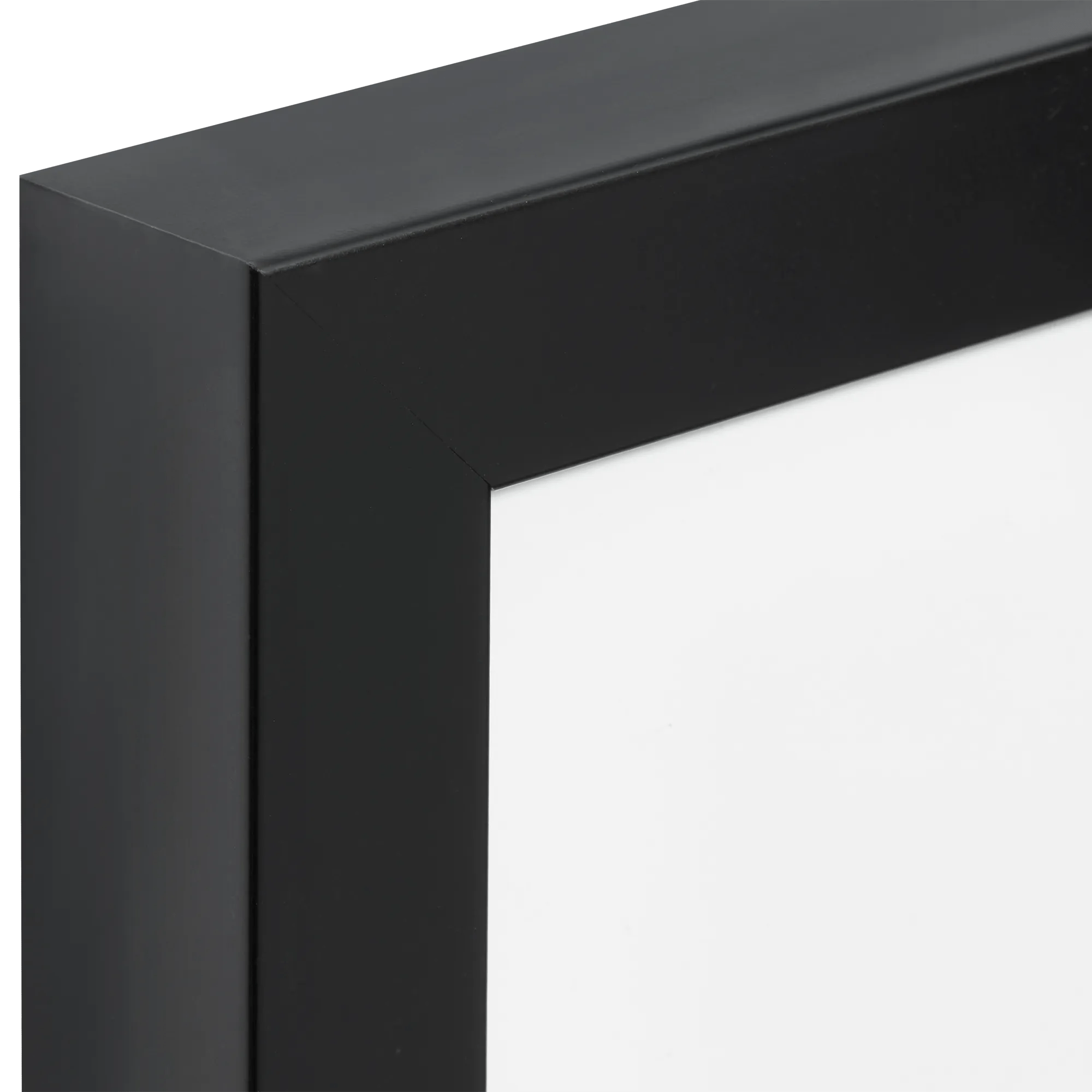 Hedgehog Canvas Framed Art