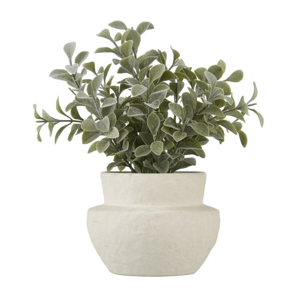 Eucalyptus Leaf Potted Plant