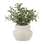 Eucalyptus Leaf Potted Plant