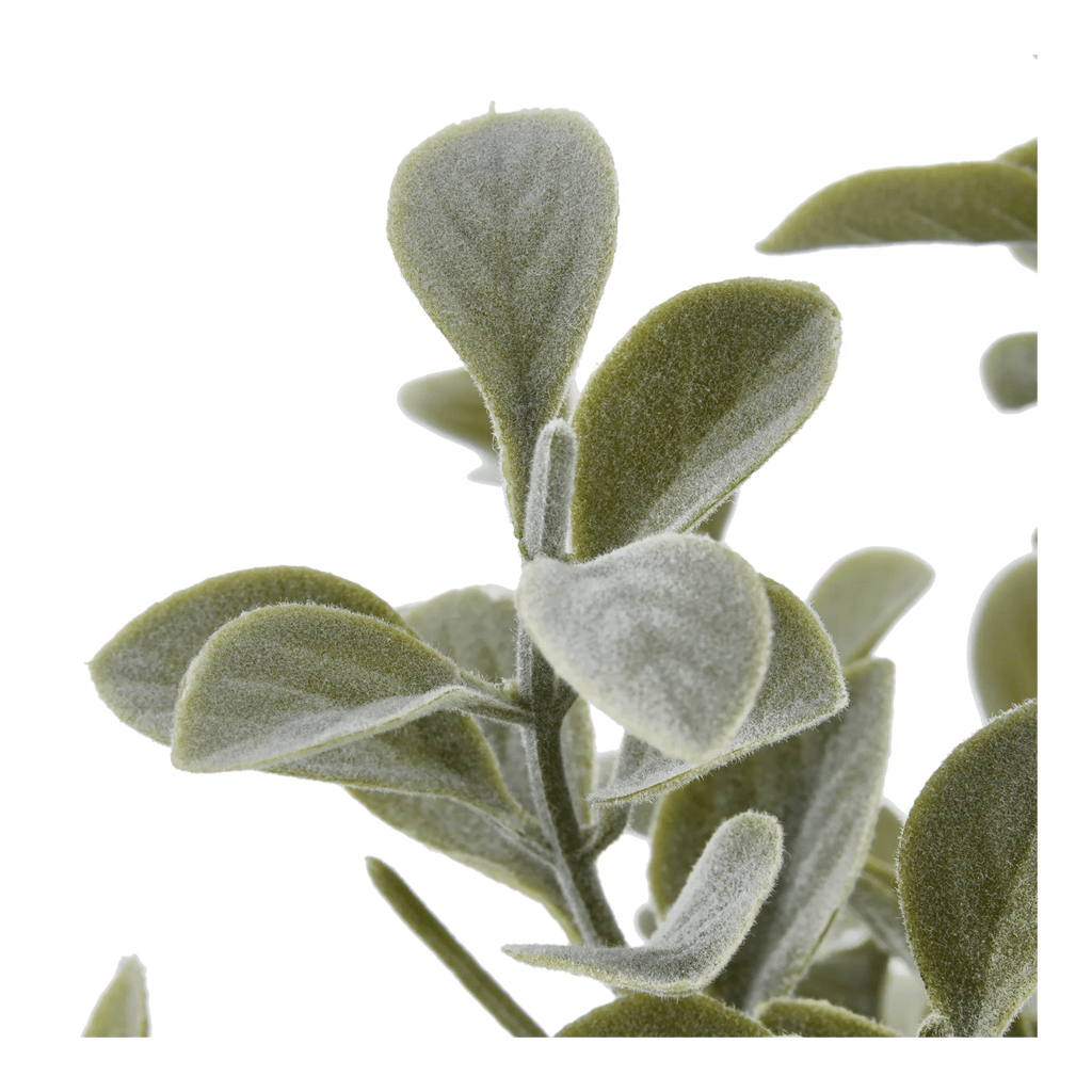 Eucalyptus Leaf Potted Plant