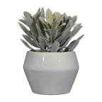 Artificial Panda Plant in Ceramic Pot