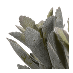 Artificial Panda Plant in Ceramic Pot