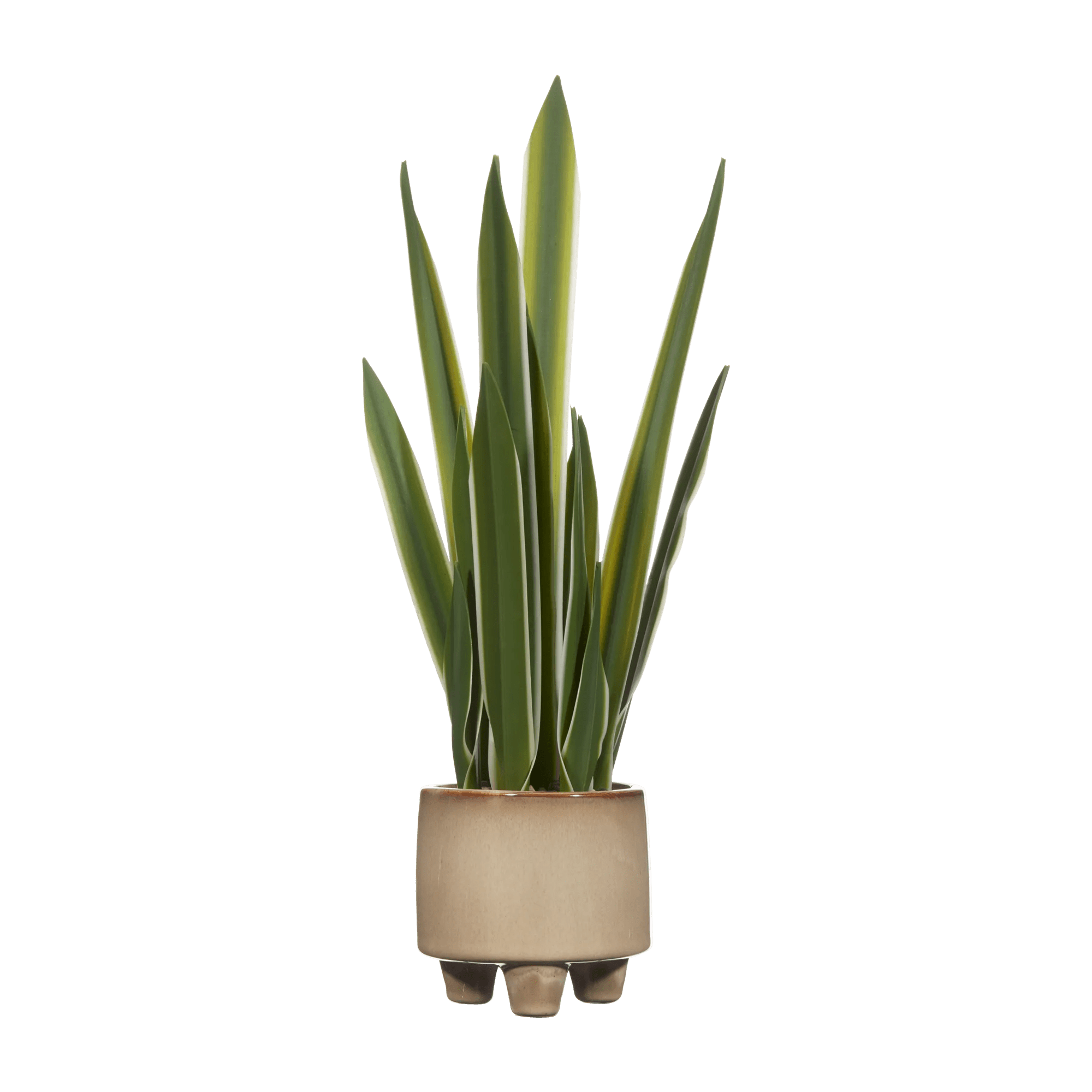 Artificial Yucca Leaf in Ceramic Pot