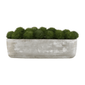 Artificial Moss in Cement Pot