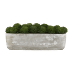 Artificial Moss in Cement Pot