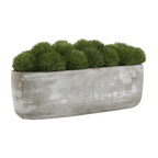 Artificial Moss in Cement Pot