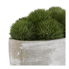 Artificial Moss in Cement Pot