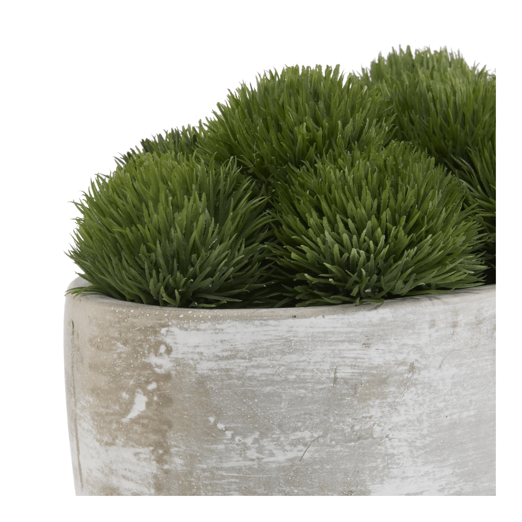 Artificial Moss in Cement Pot