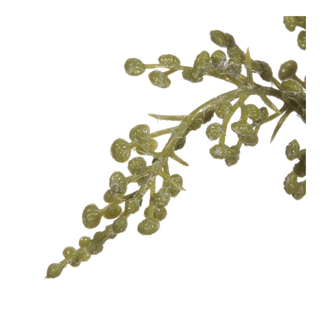 Artificial Stoebe in Ceramic Vase