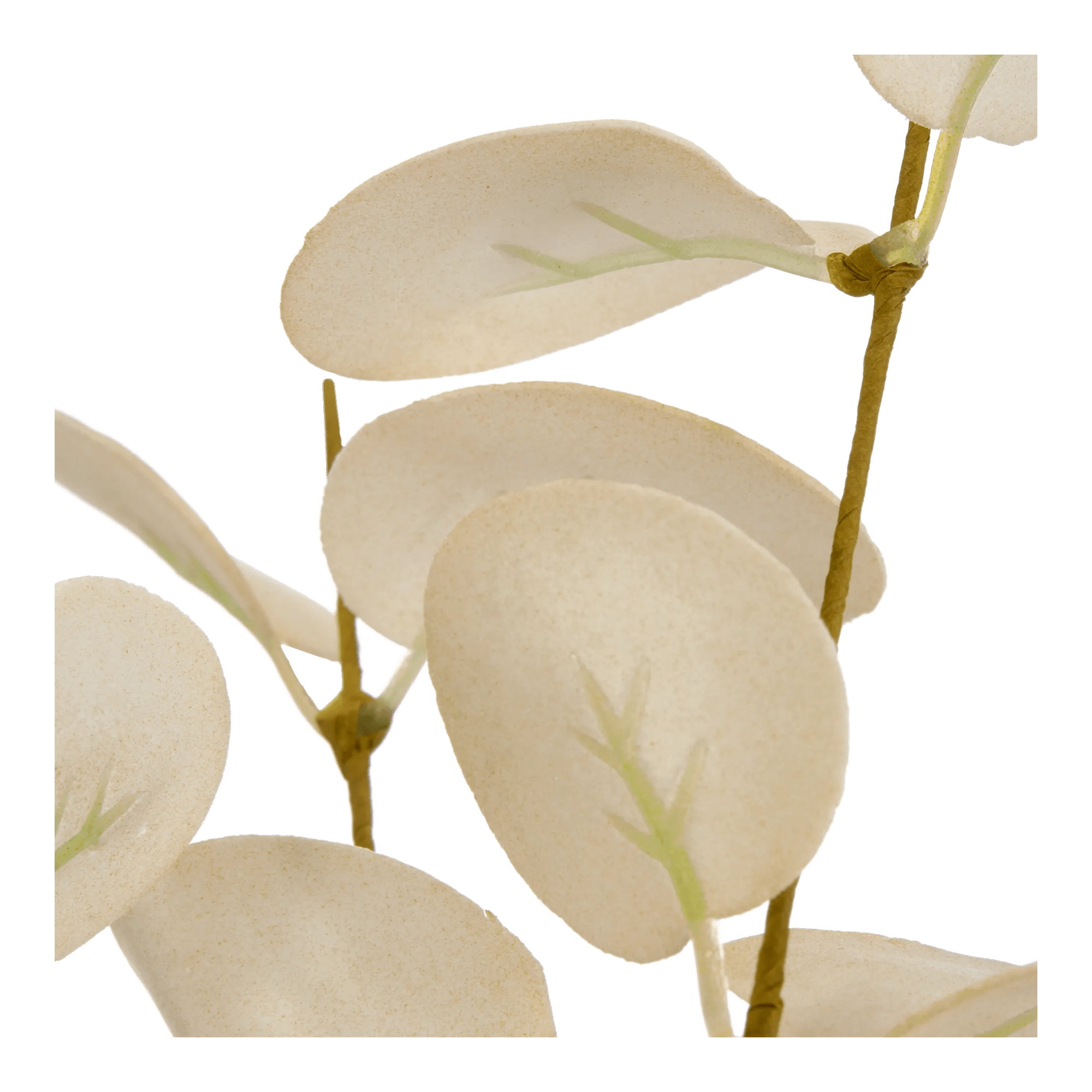 Artificial Eucalyptus Leaf Stem