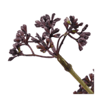 Artificial Purple Hemlock Flower