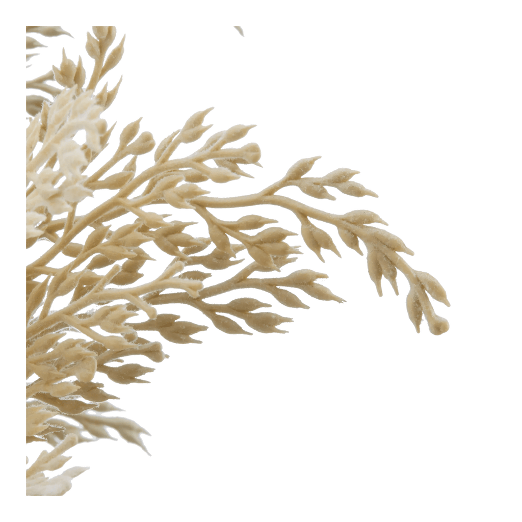 Pampas in Vase With Handle