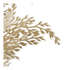 Pampas in Vase With Handle