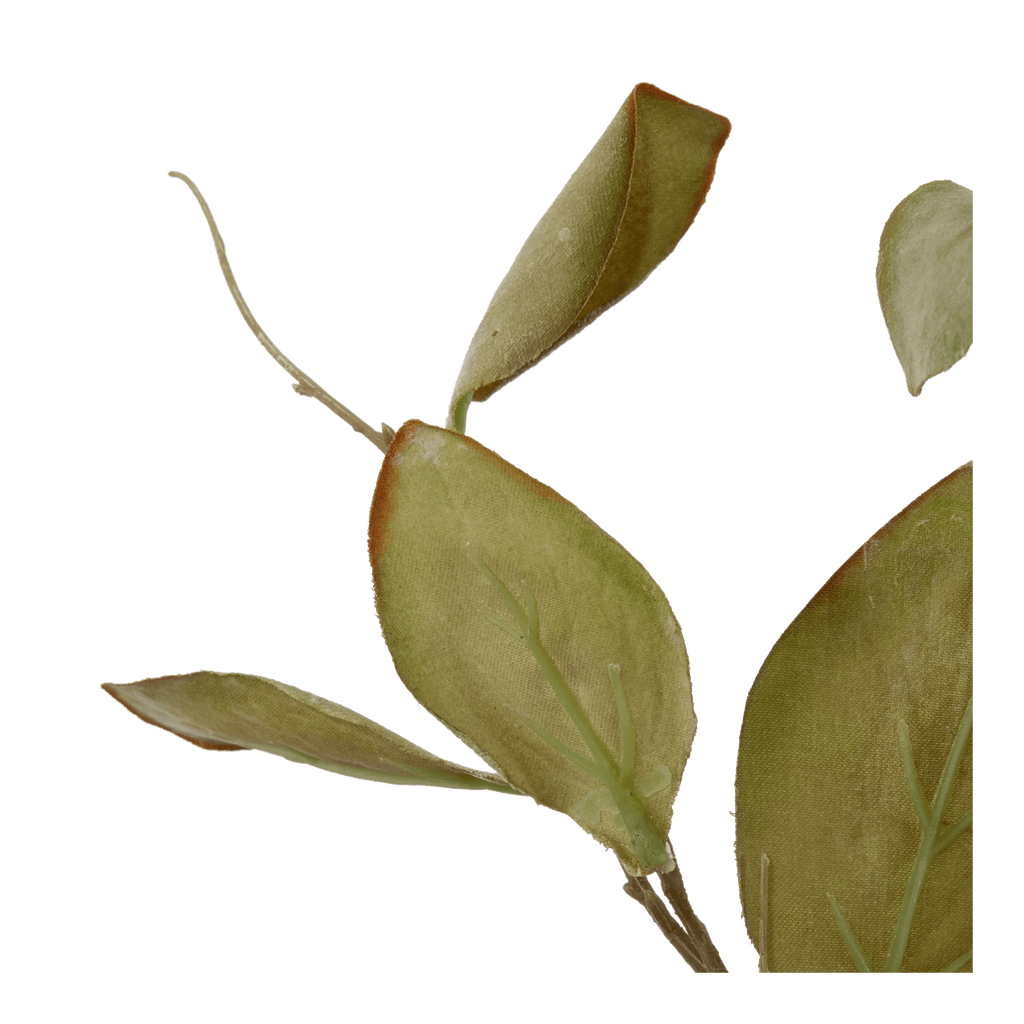 Artificial Magnolia Leaf Stem