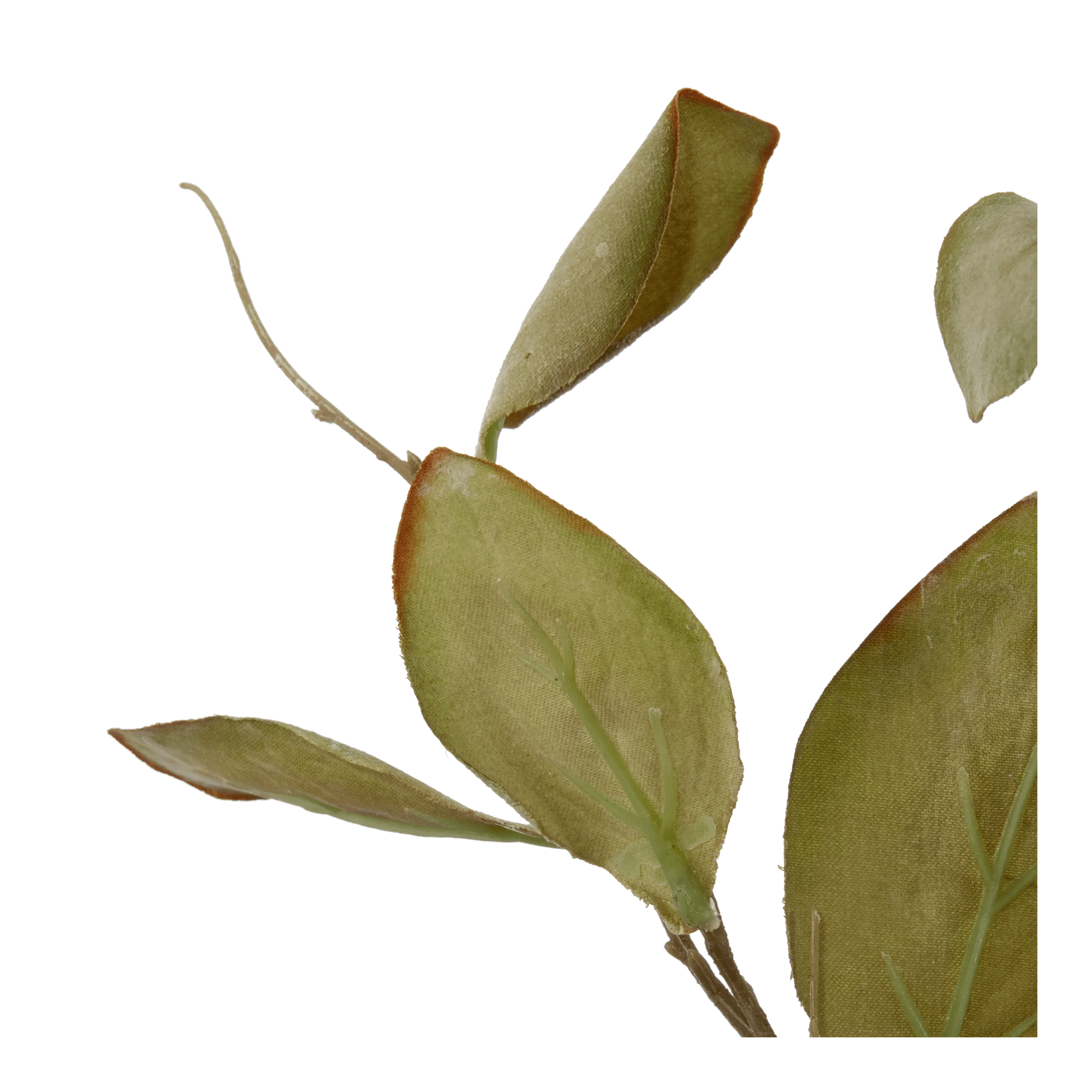 Artificial Magnolia Leaf Stem