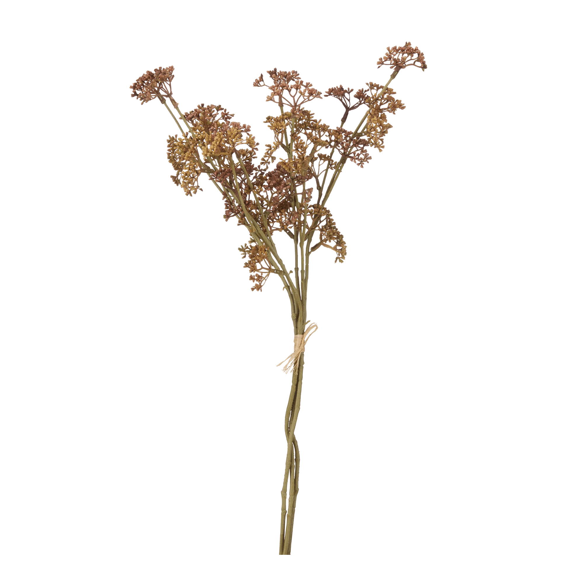 Artificial Hemlock Flower Stem