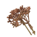 Artificial Hemlock Flower Stem