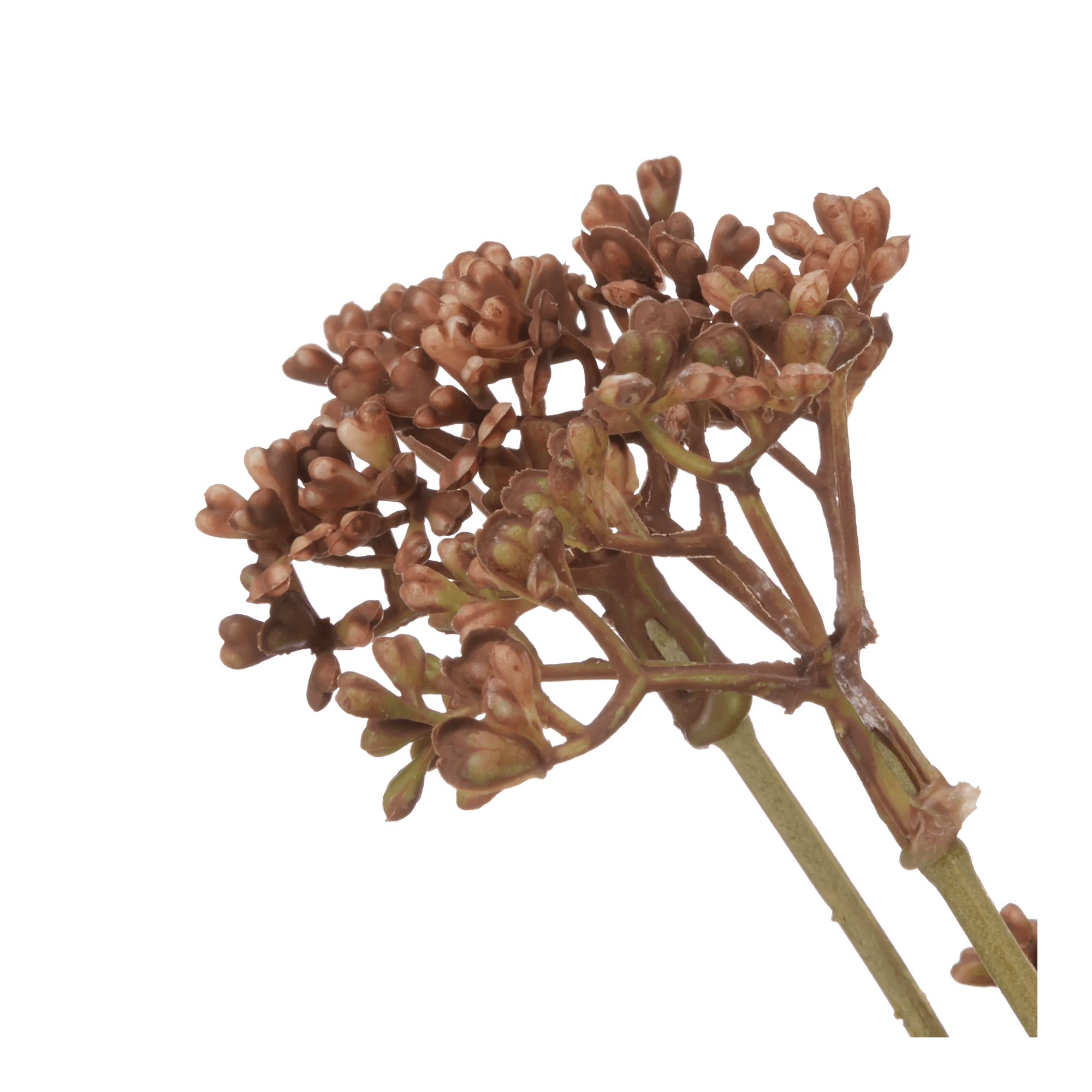 Artificial Hemlock Flower Stem