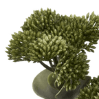 Artificial Sedum Spray Stem