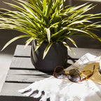 Grass in Ceramic Pot