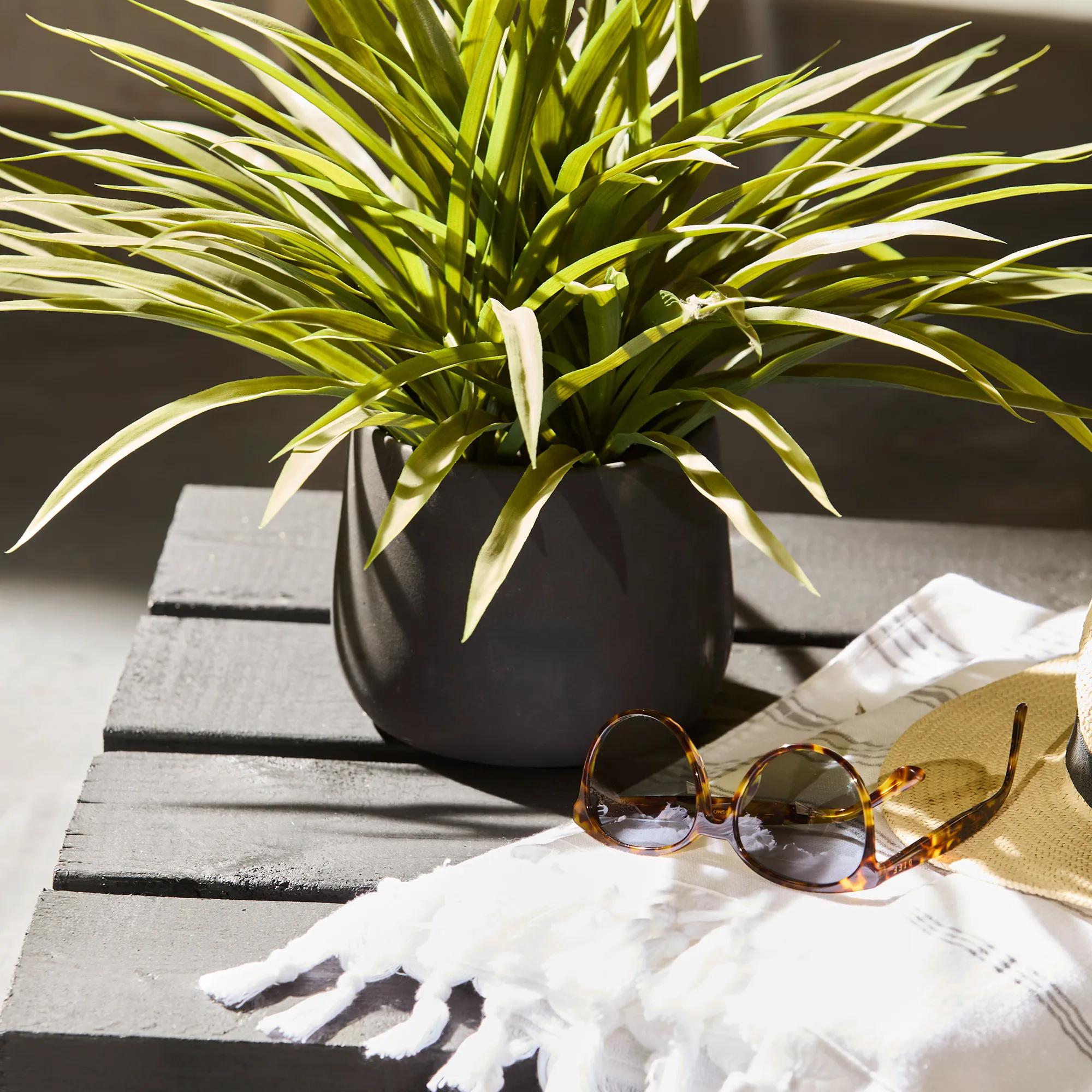 Grass in Ceramic Pot