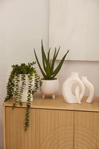 Waterfall Eucalyptus in White Hourglass Pot