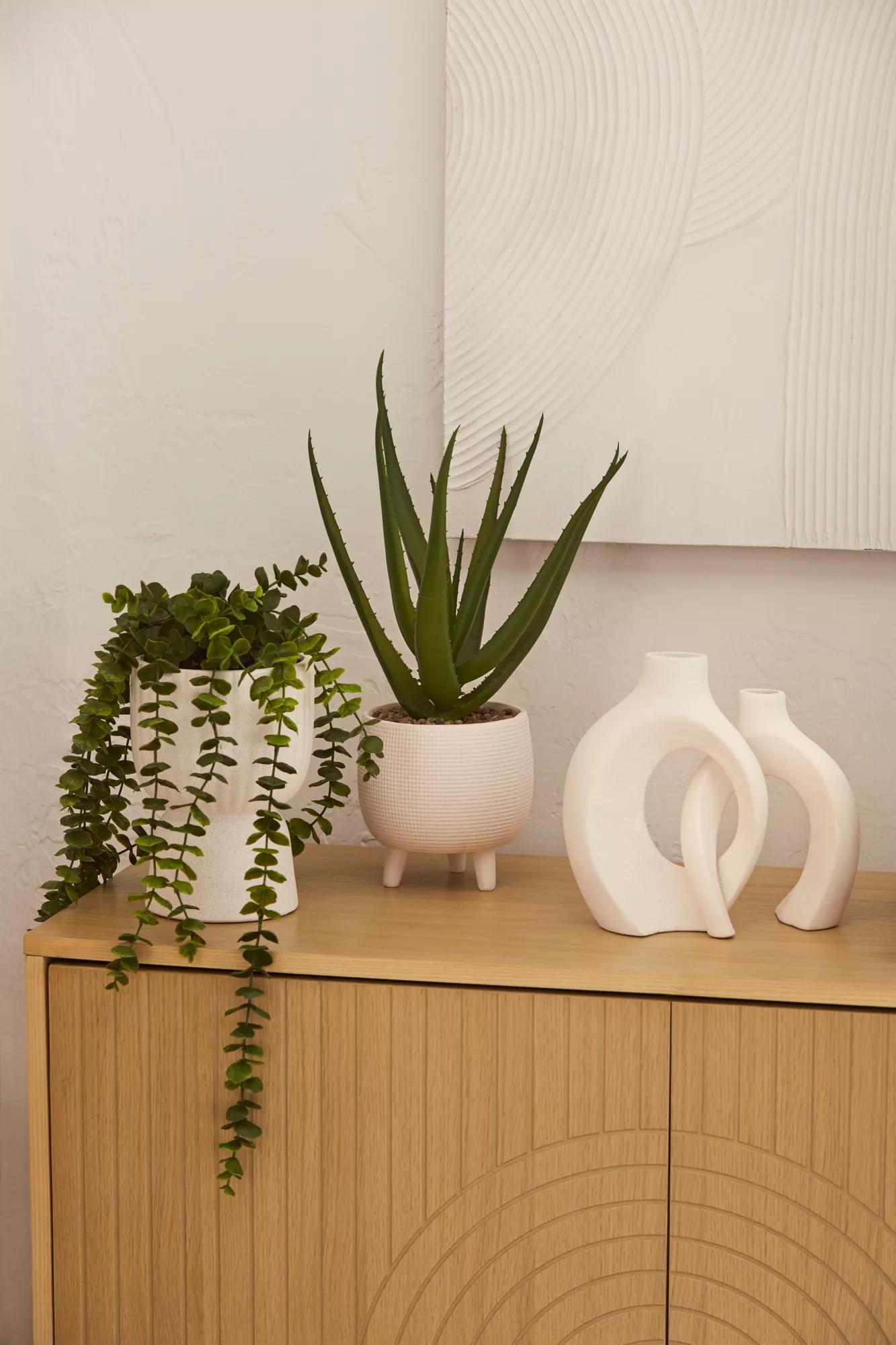 Waterfall Eucalyptus in White Hourglass Pot