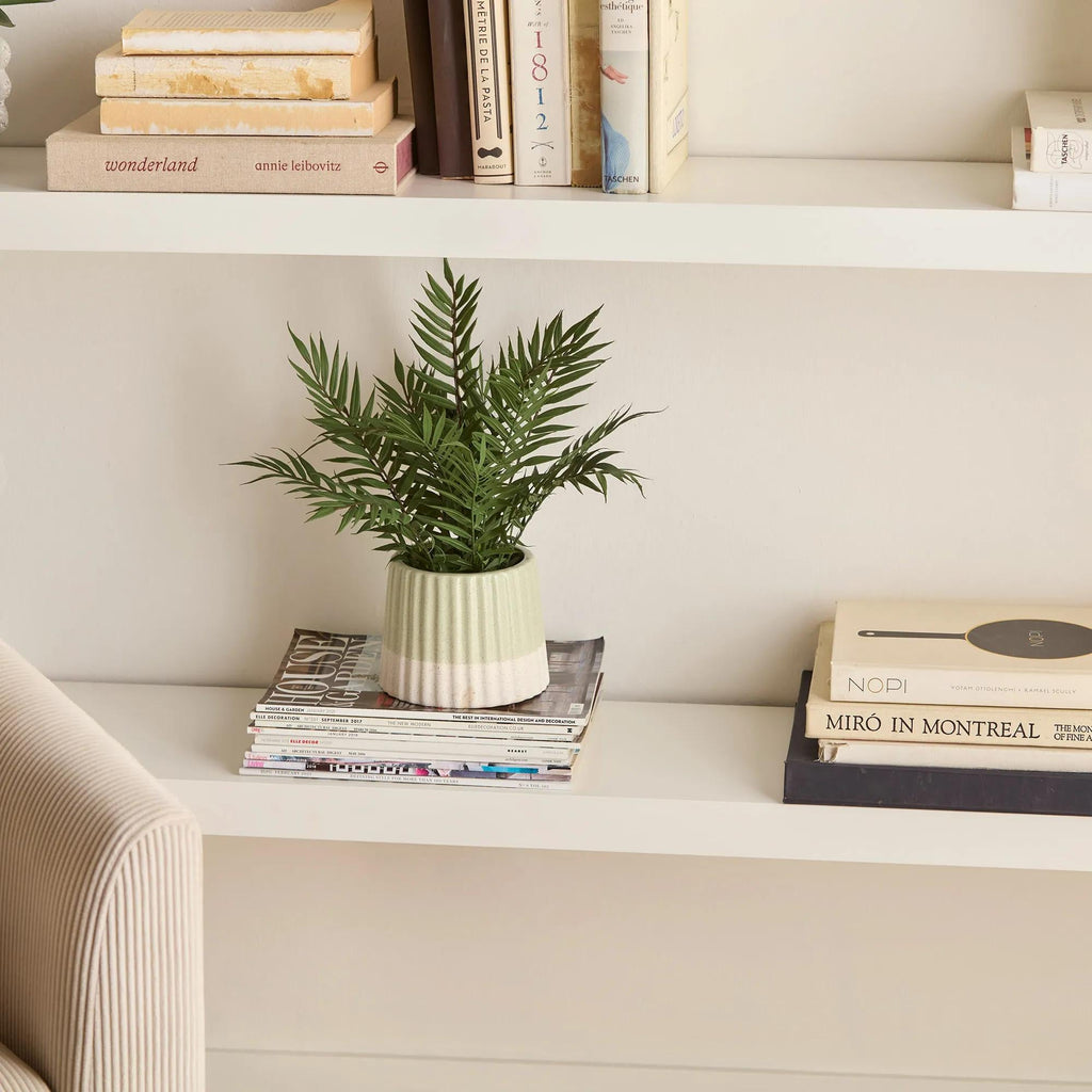 Artificial Fern in Ceramic Pot