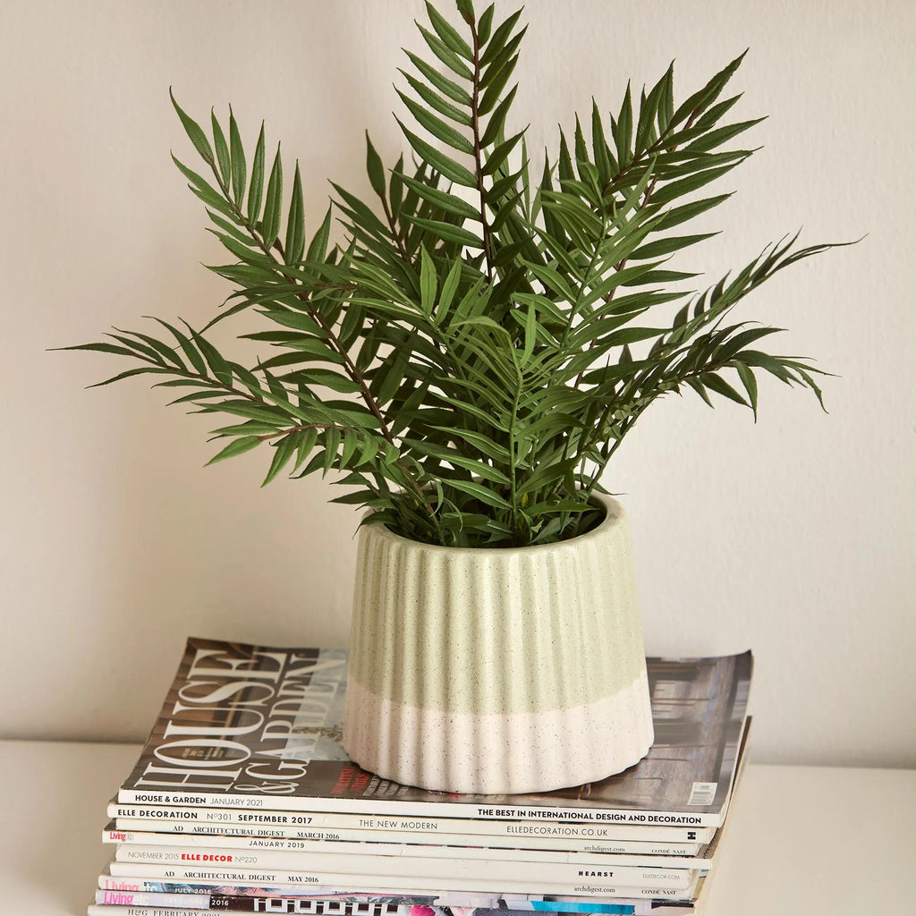 Artificial Fern in Ceramic Pot