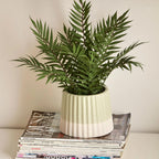 Artificial Fern in Ceramic Pot