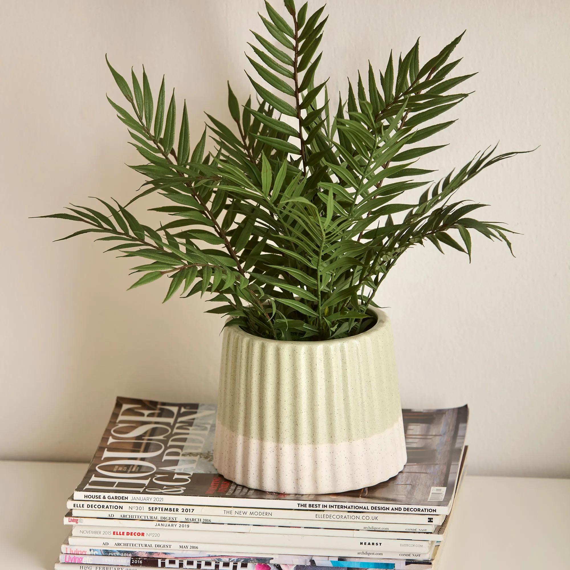 Artificial Fern in Ceramic Pot