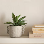 Artificial Aloe in Ceramic Pot