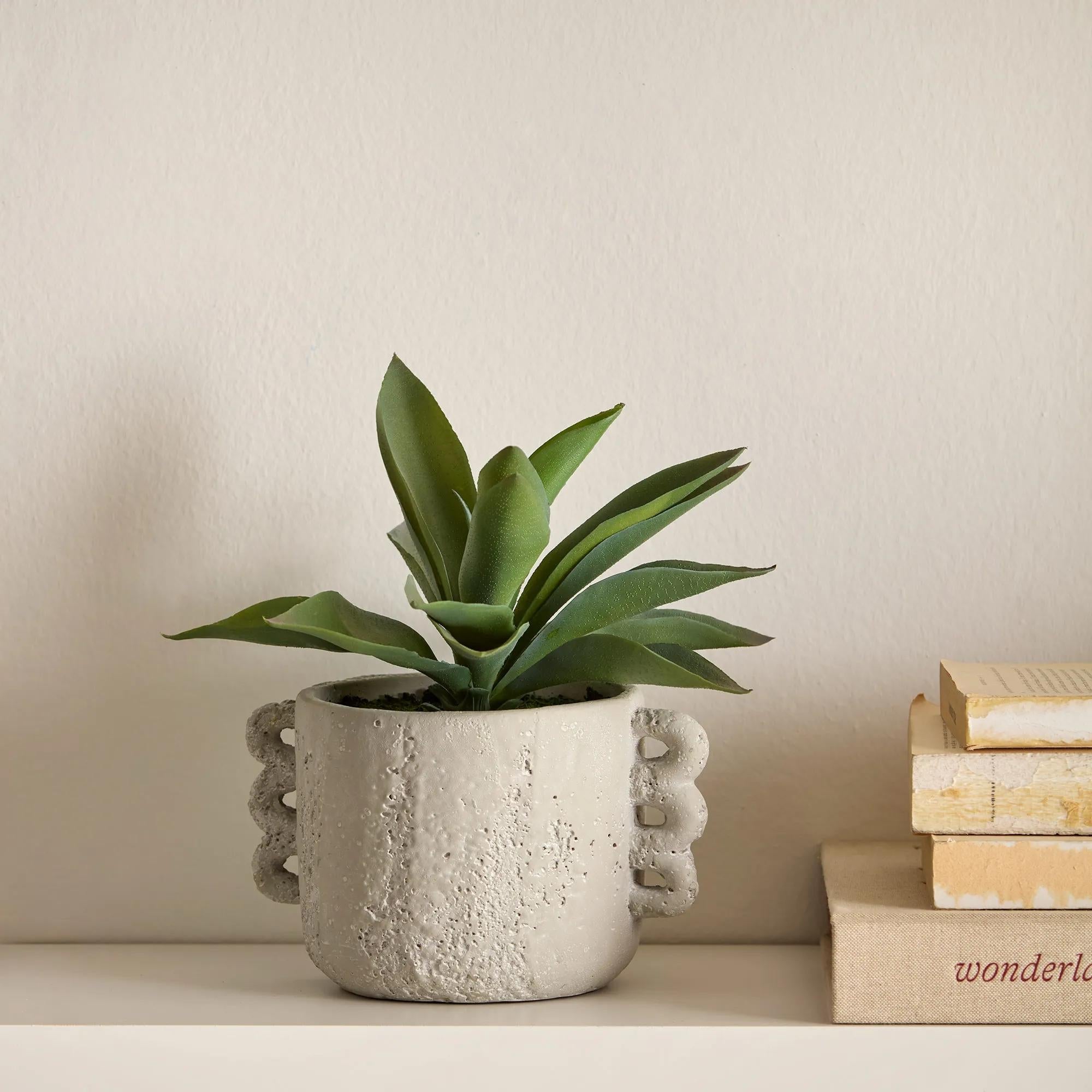 Artificial Aloe in Ceramic Pot