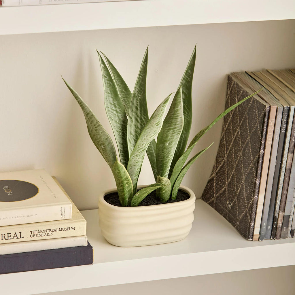 Artificial Plant in Ceramic Pot