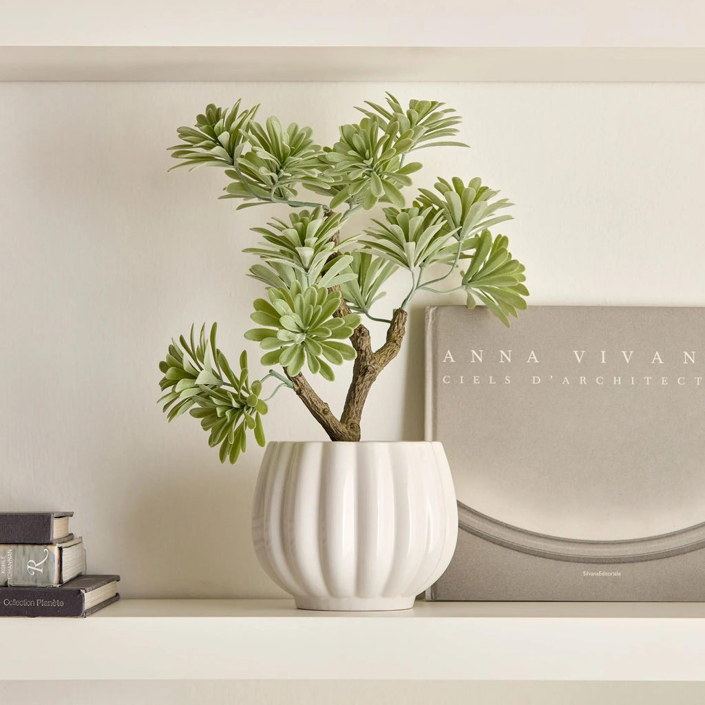 Lotus in Ceramic Pot