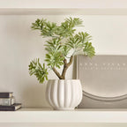 Lotus in Ceramic Pot