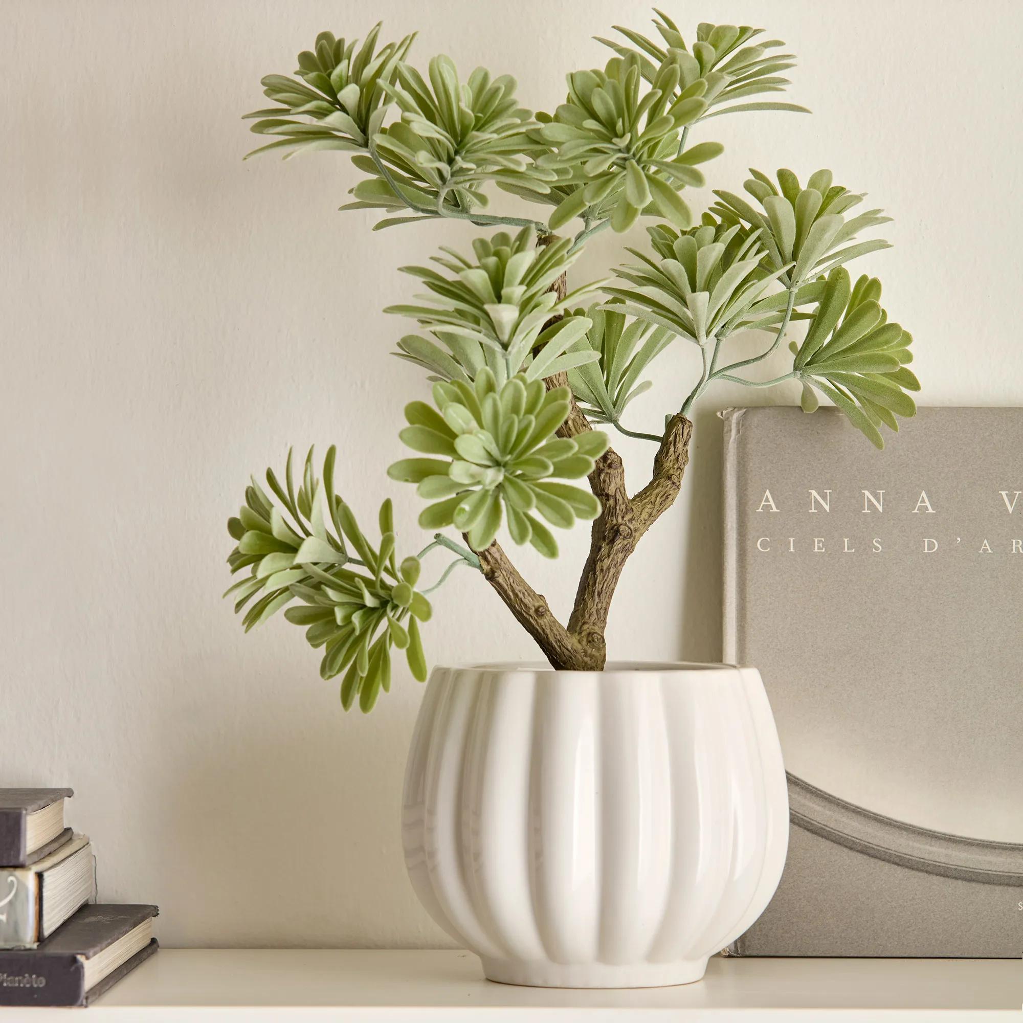 Lotus in Ceramic Pot