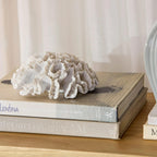 Decorative Coral
